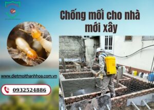 chống mối cho nhà mới xây
