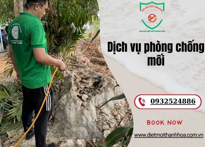 dịch vụ phòng chống mối