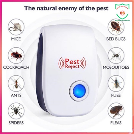 máy diệt mối