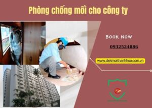 Phòng chống mối cho công ty