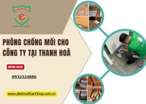 Phòng chống mối cho công ty tại Thanh Hoá