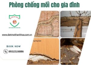 Phòng chống mối cho gia đình