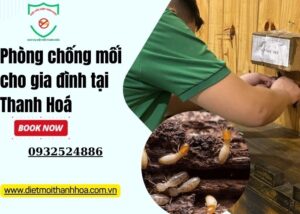 Phòng chống mối cho gia đình tại Thanh Hoá