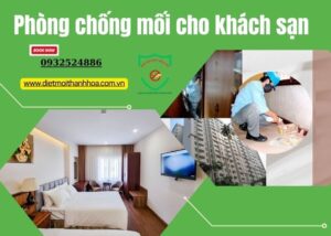 Phòng chống mối cho khách sạn