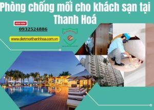 Phòng chống mối cho khách sạn tại Thanh Hoá