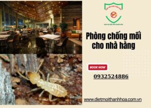 Phòng chống mối cho nhà hàng