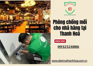 Phòng chống mối cho nhà hàng tại Thanh Hoá