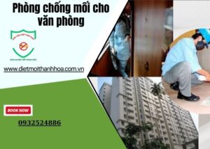 Phòng chống mối cho văn phòng