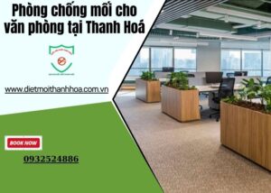 Phòng chống mối cho văn phòng tại Thanh Hoá